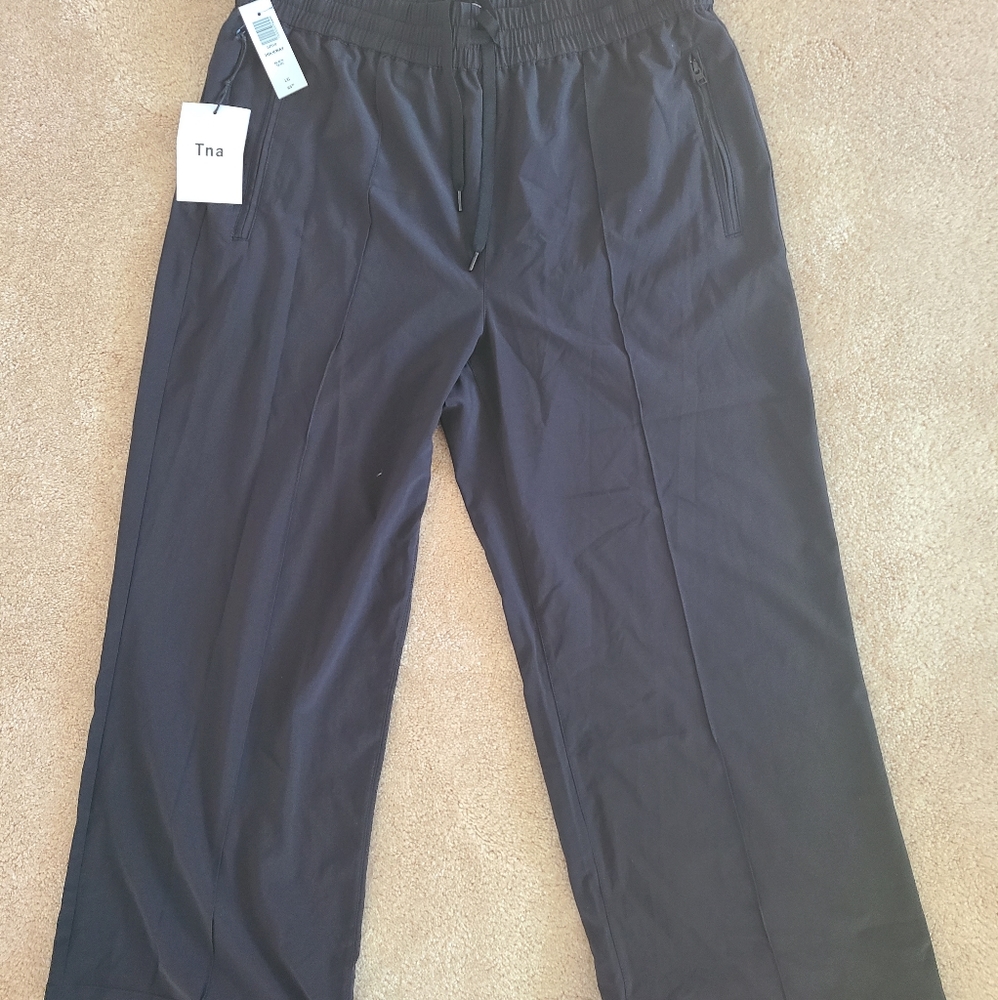 Aritzia crop pants
